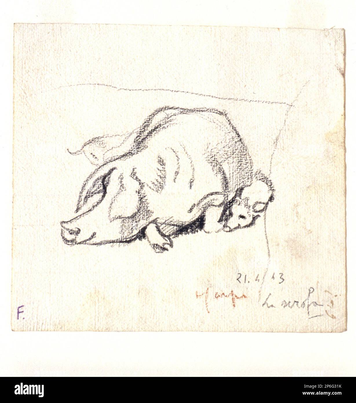 Aldo Carpi, la scrofa, 1943, gesso nero su carta steso. Foto Stock