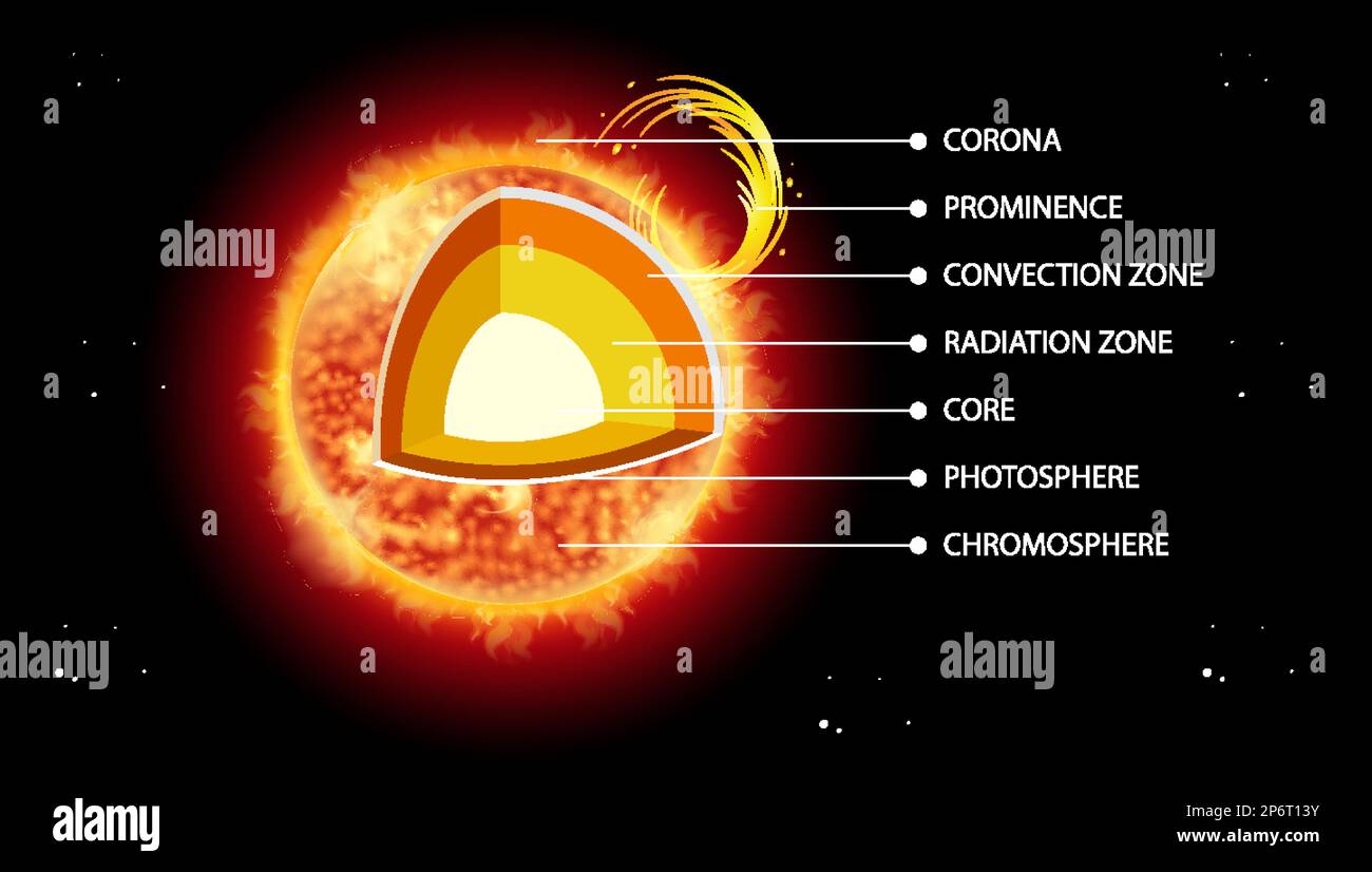 Diagramma Del Microscopio A Scansione A Effetto Tunnel