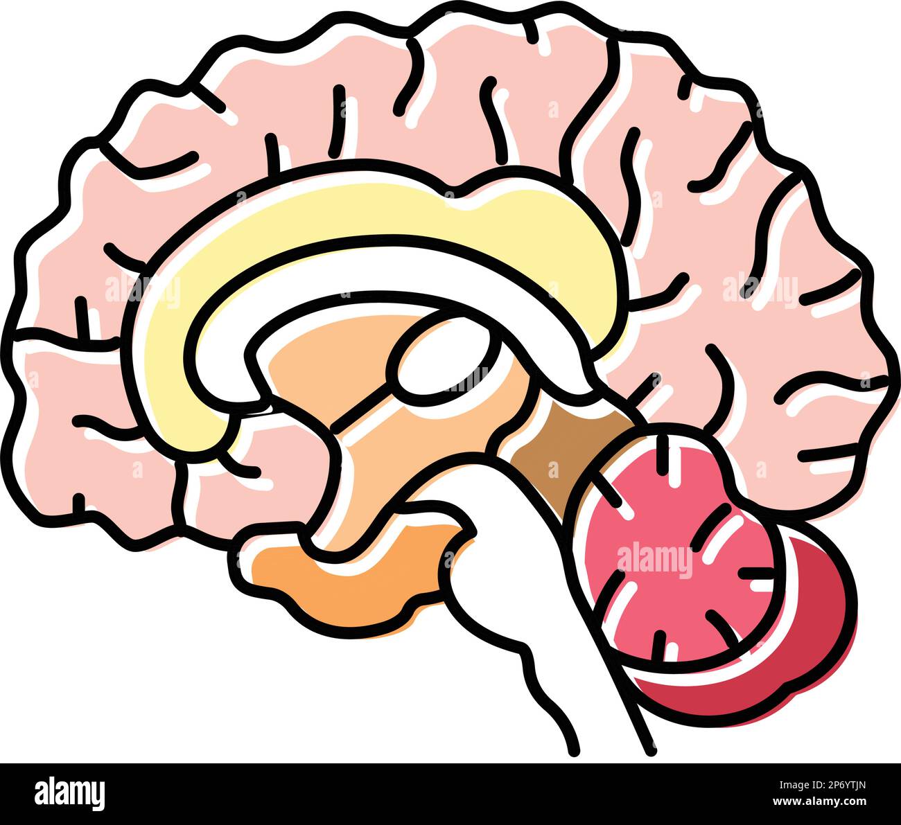 illustrazione vettoriale dell'icona del colore del cervello di neurologia Illustrazione Vettoriale