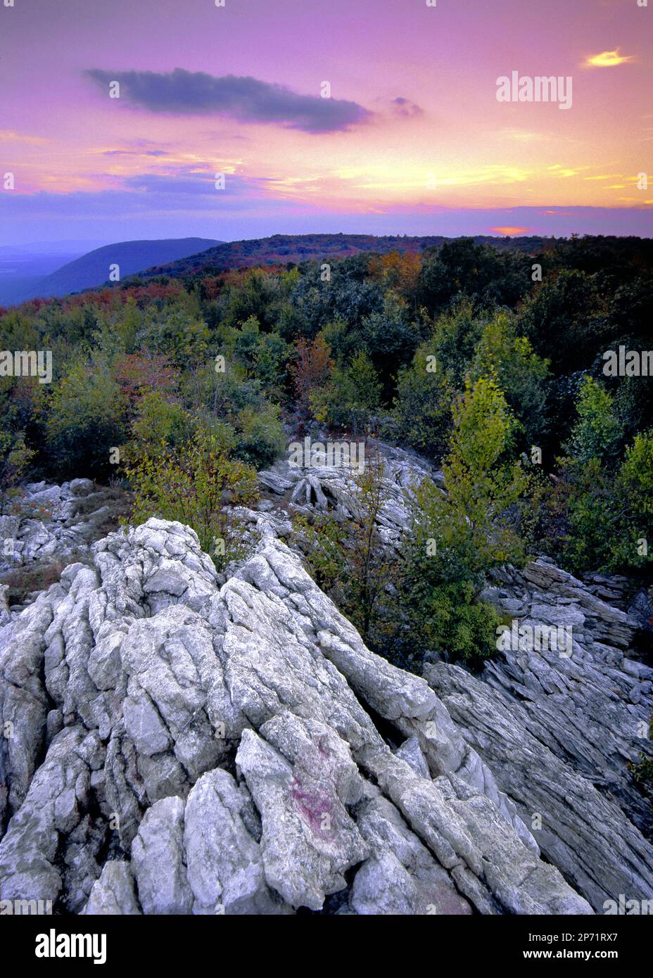 Il Kittantinny o Blue Mountain Ridge vicino a Lehigh Furnace Gap, Pennsylvania Foto Stock