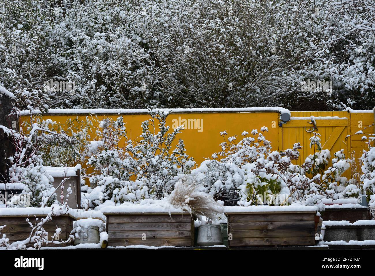 Giardino gallese neve scena Foto Stock