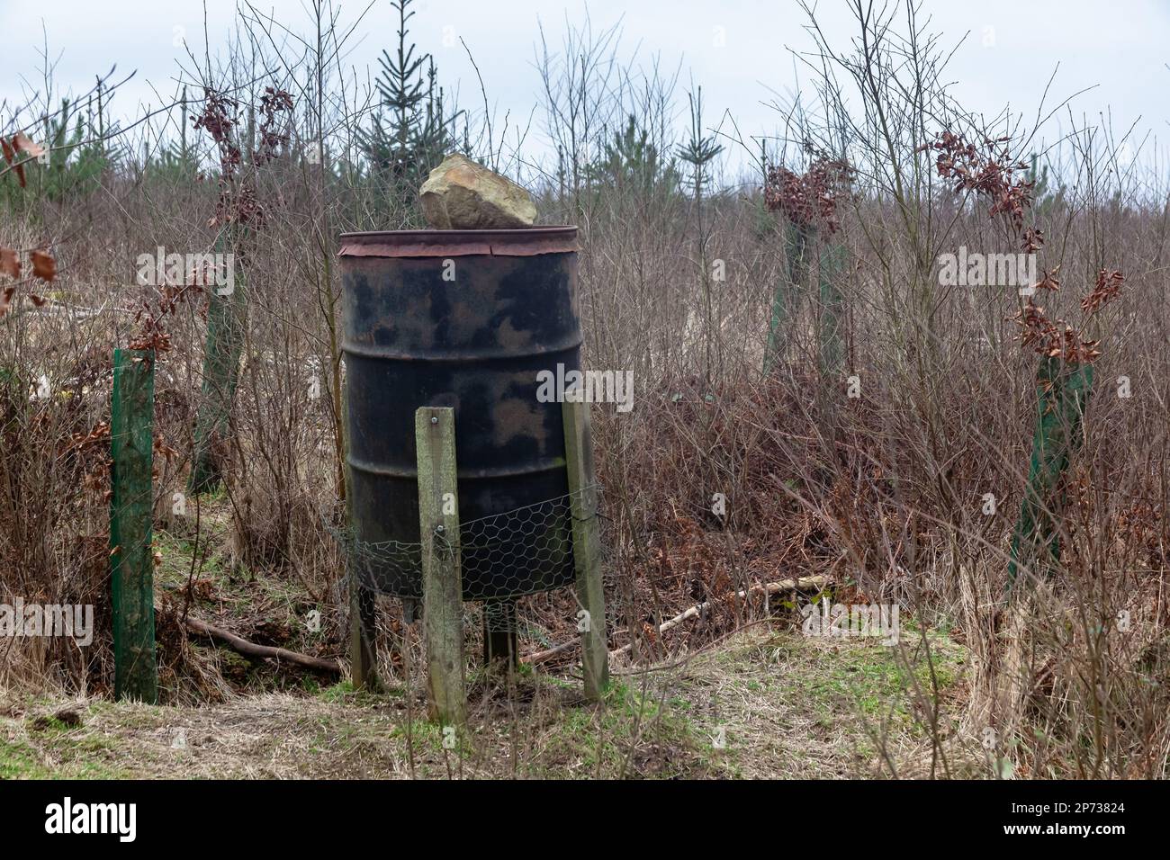 Tamburo fagiano fatto in casa - alimentatore Foto Stock