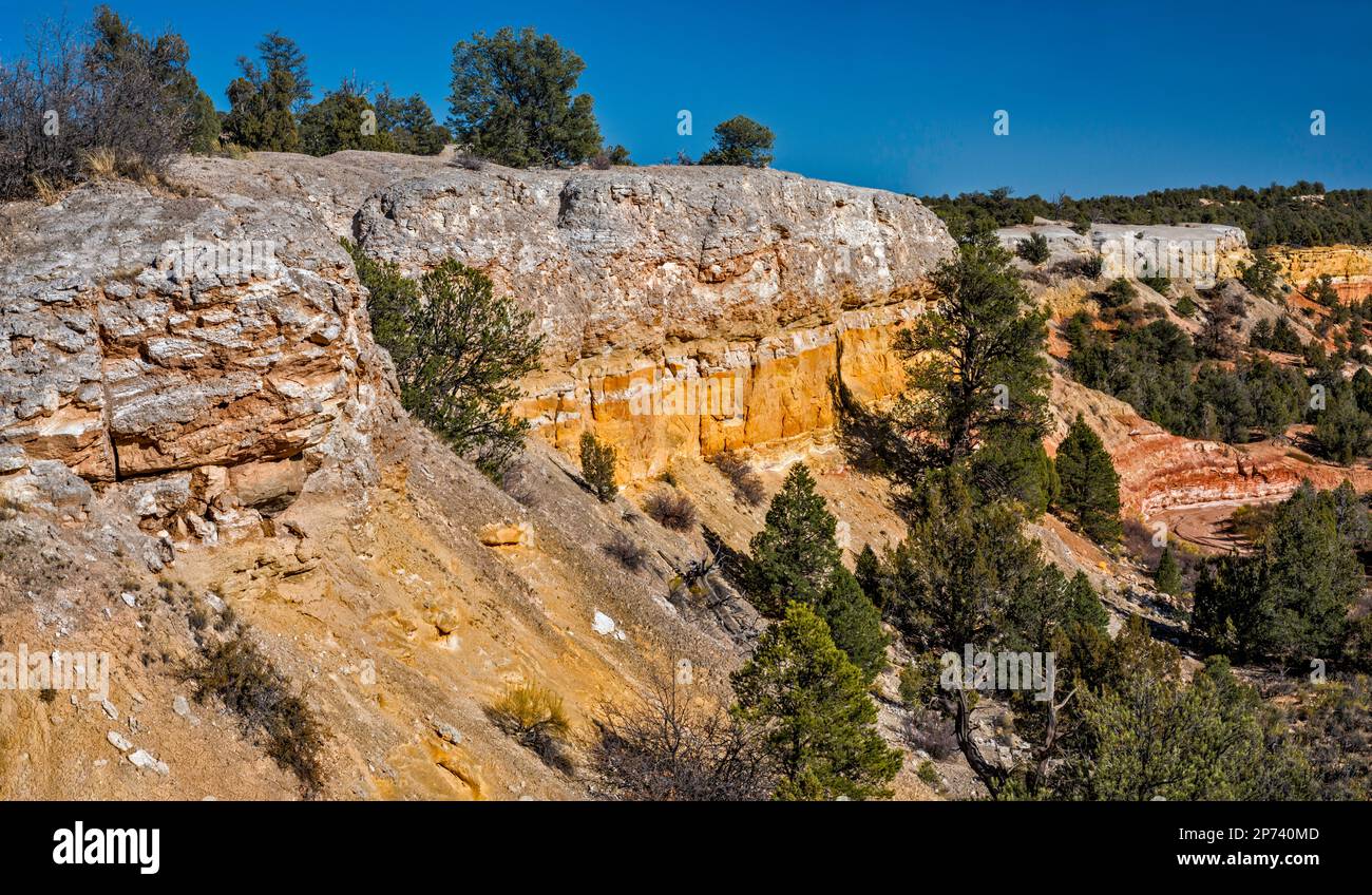 Scogliere a Johnson Canyon Road (BLM501), Skutumpah Terrace, Kanab Plateau, Grand Staircase Escalante National Monument, Utah, USA Foto Stock