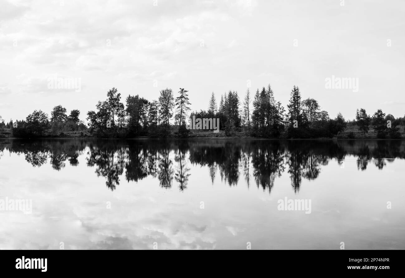 Natura all'Oberer Nassenwieser Teich, sulle montagne Harz. Vista sul laghetto con il paesaggio circostante. Foto Stock