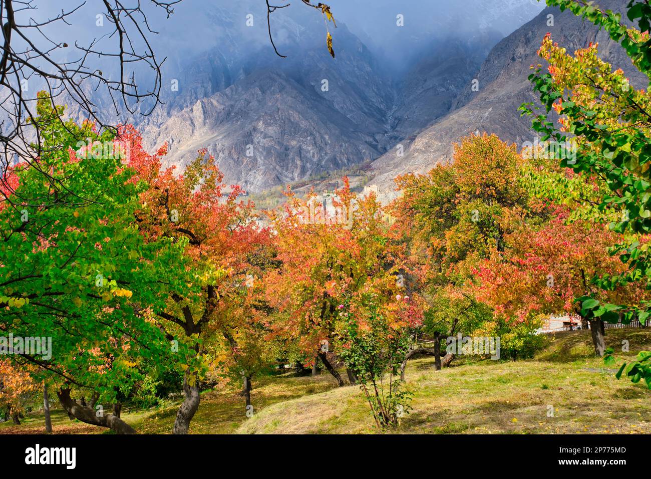 In un bellissimo Pakistan si trova la casa natale del Regno di Hunza, Altit Fort (noto anche come Khabasi Residence) è una meraviglia architettonica che è stato st Foto Stock