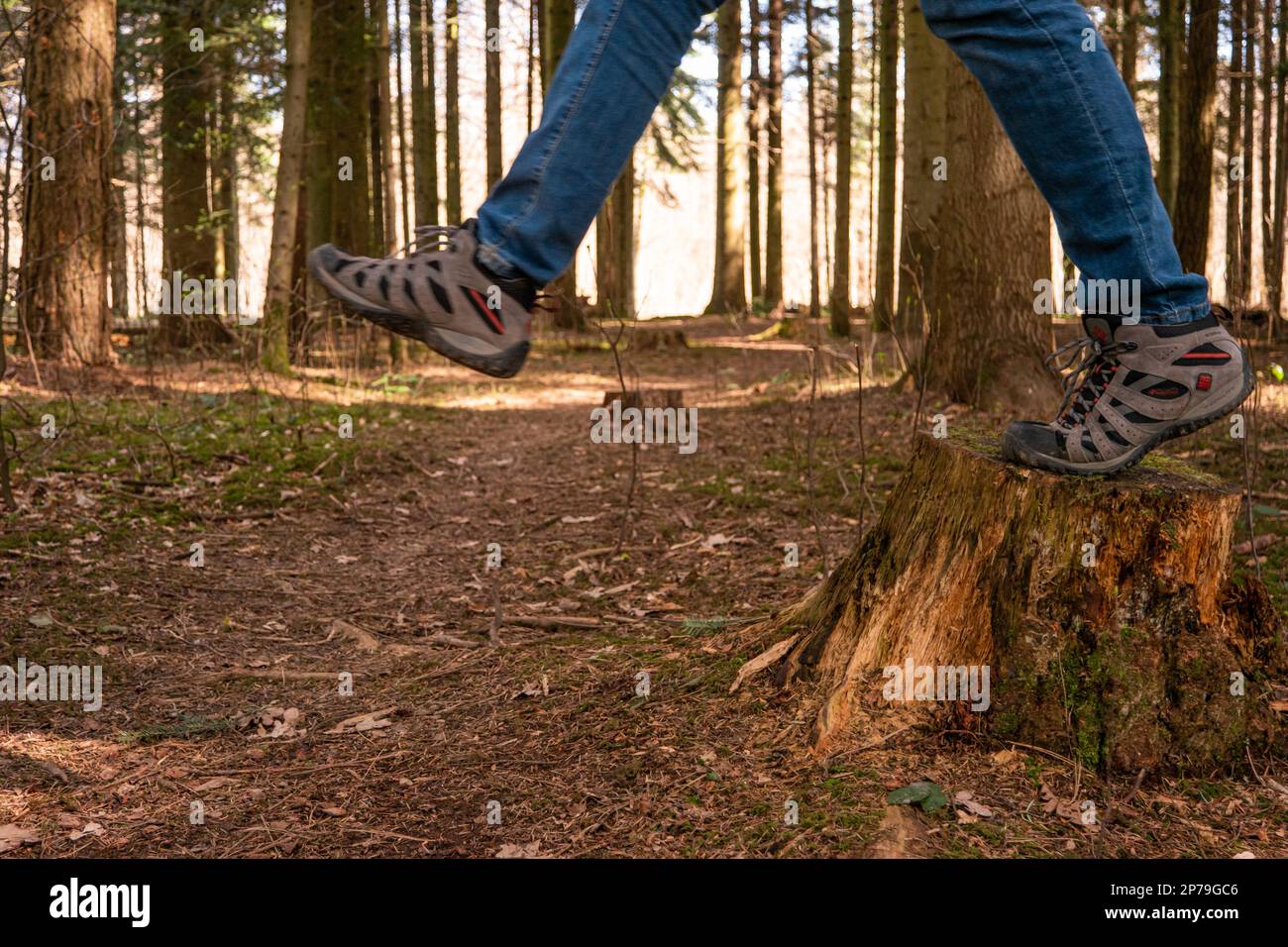 Uomo irriconoscibile in jeans e scarpe da trekking facendo un salto di fede da un ceppo di albero nella cattura a mezz'aria foresta. Foto Stock