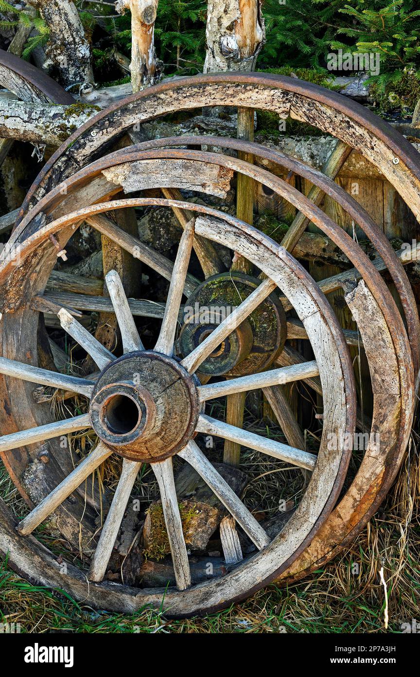 Vecchie ruote per carri in legno, Allgaeu, Baviera, Germania Foto Stock