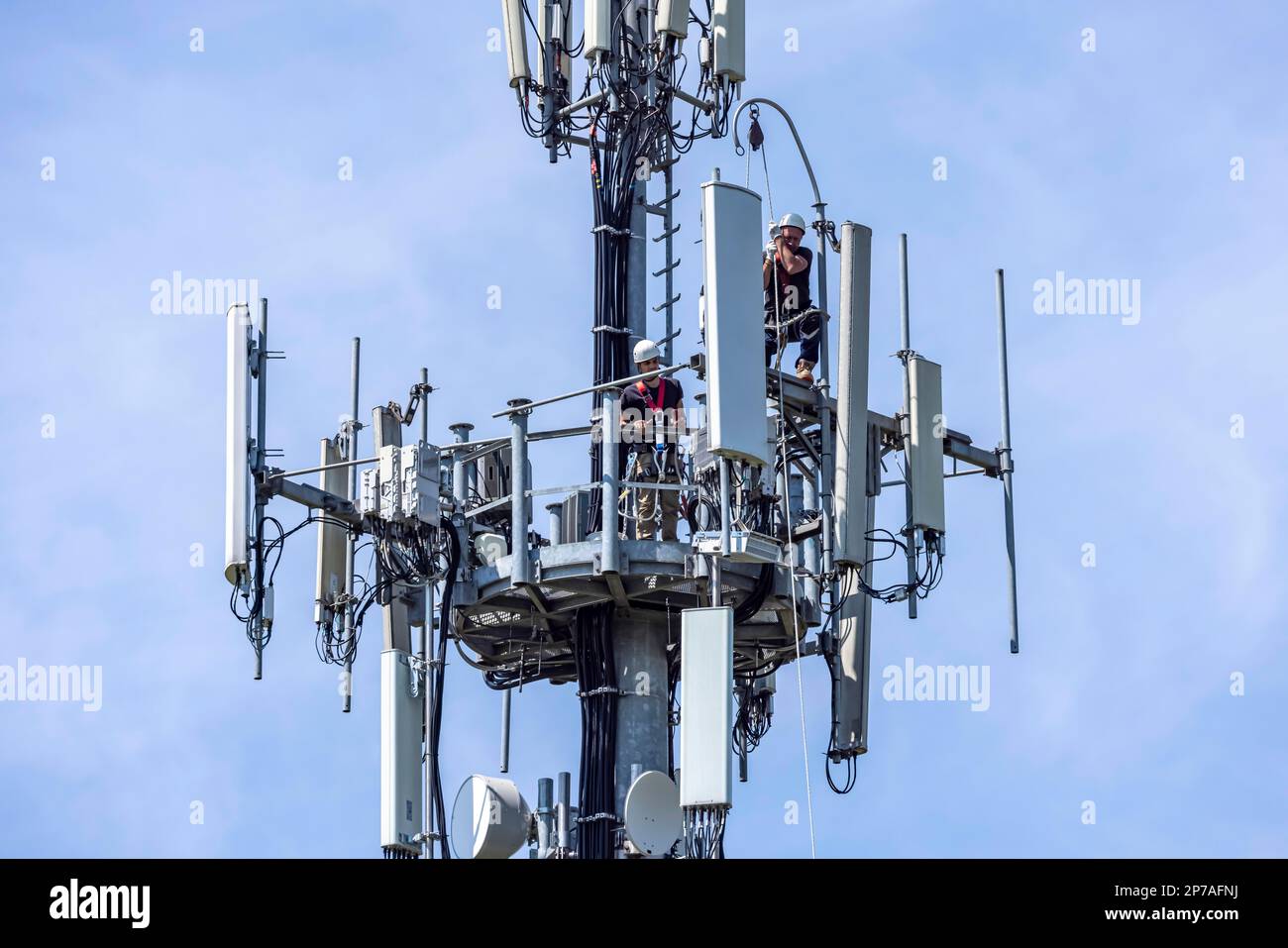 Asta per telefono cellulare, operaio durante il montaggio, Castelfranco Emilia, Italia Foto Stock