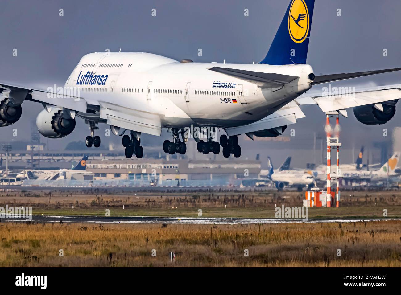 Aeroporto di Fraport, Lufthansa Boeing 747-8 in avvicinamento a Fraport, Francoforte sul meno, Assia, Germania Foto Stock