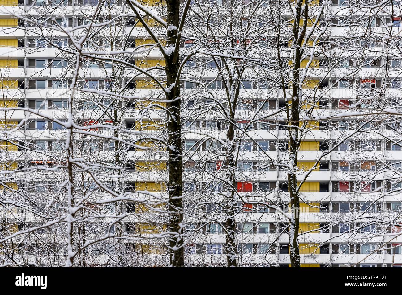 Asemwald complesso residenziale in inverno. Di fronte alla facciata, alberi e rami formano un contrasto con le linee rigide dell'alto edificio Foto Stock
