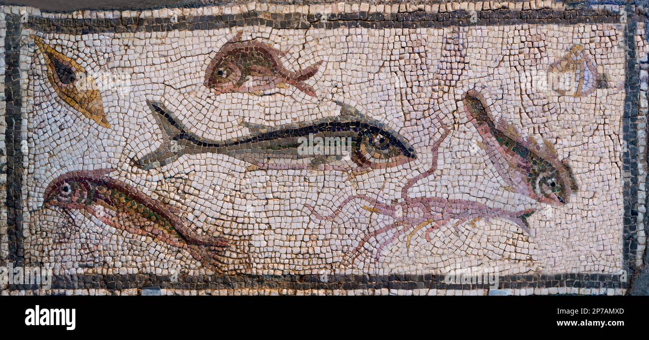 Mosaico romano pannello con pesci, Antiochia, Turchia, del III secolo D.C. Art Institute of Chicago, Chicago, Illinois, USA, America del nord, Foto Stock