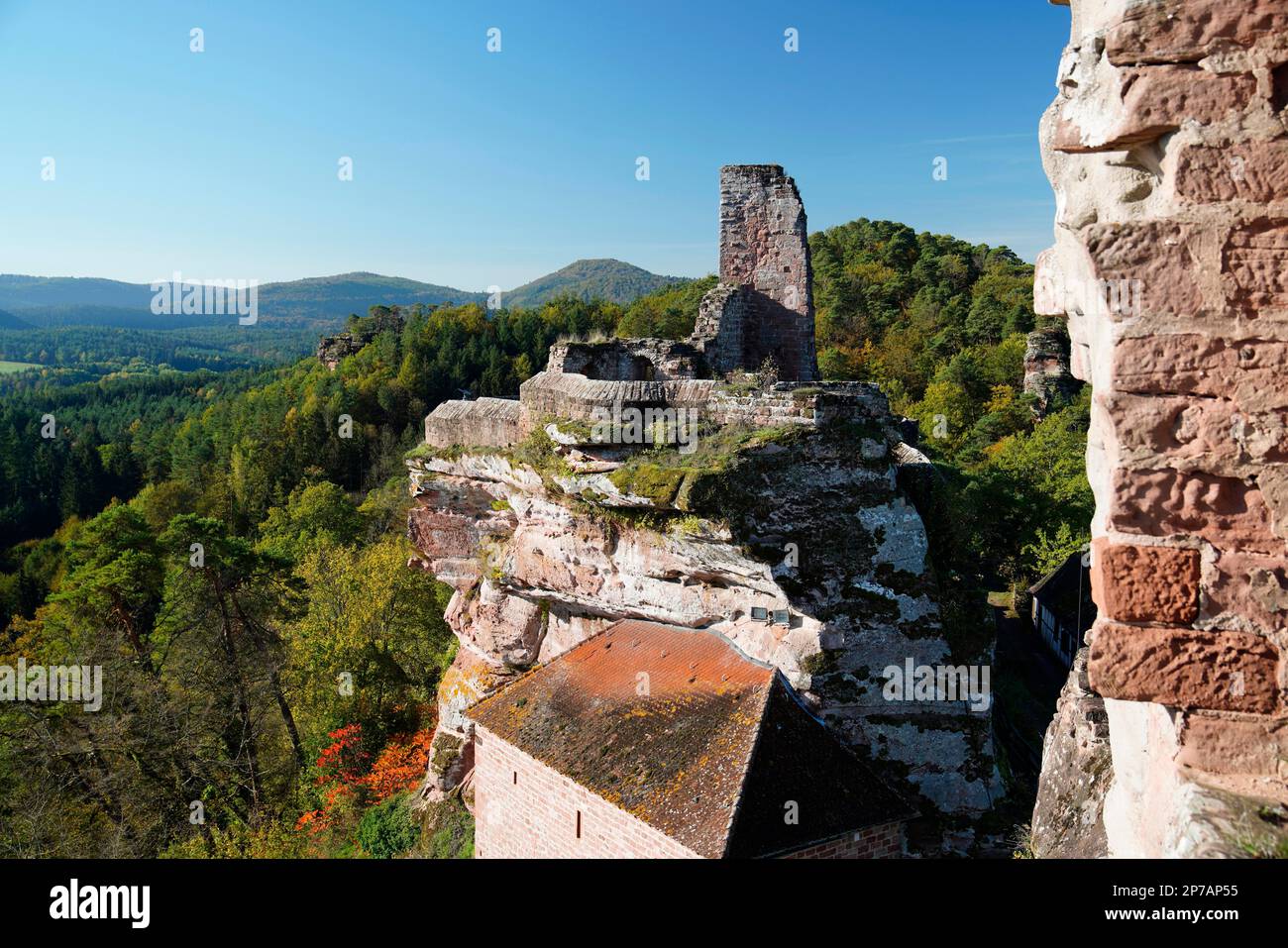 Rovina, castello di roccia medievale, gruppo castello di Dahn, Foresta Palatinato, Altdahn Castello, Wasgaus (Renania-Palatinato), Germania, Dahn Foto Stock