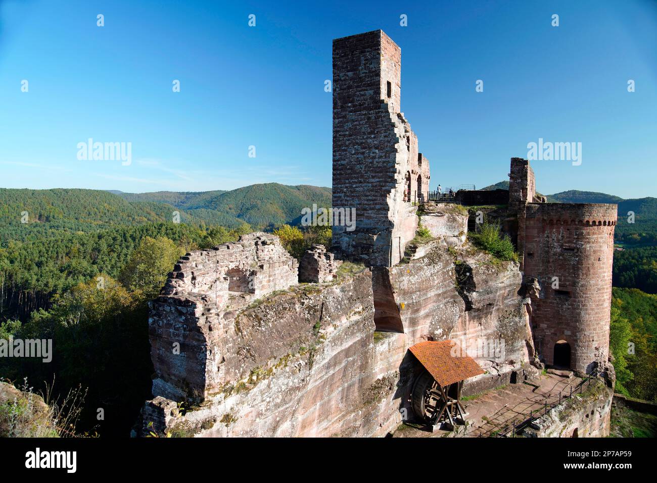 Rovina, castello di roccia medievale, gruppo castello di Dahn, Foresta Palatinato, Altdahn Castello, Wasgaus (Renania-Palatinato), Germania, Dahn Foto Stock