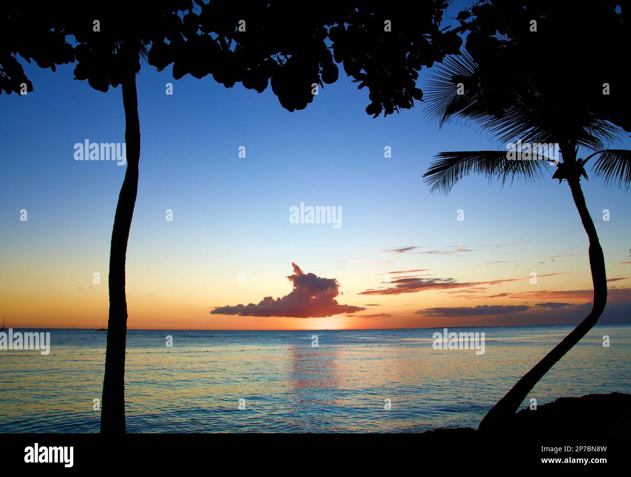 Tramonto appena sopra l'orizzonte sul Mar dei Caraibi tra palme da riva Foto Stock