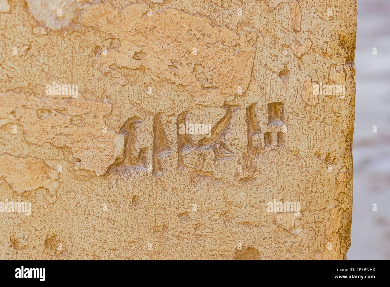 Egypte, Saqqara vicino al Cairo, tomba del nuovo Regno di Horemheb, graffito sul secondo pilone: Penbuy. Foto Stock
