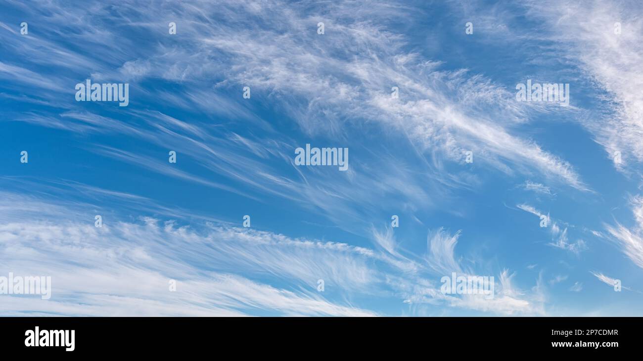 Nuvole di cirrus chiaro nel cielo blu panorama. Cirrus nuvole varietà in una giornata di sole. Ampio scatto di un bellissimo paesaggio tranquillo. Sfondo per il meteo. Foto Stock