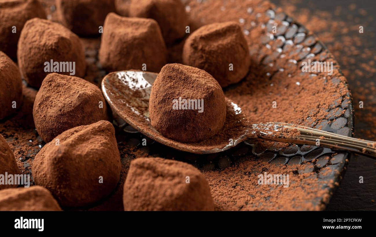 Palla al tartufo di cioccolato su un cucchiaio di primo piano. Piatto di caramelle al cioccolato fondente cosparso di cacao in polvere. Ricetta di confezione fatta in casa, dessert gourmet. Foto Stock