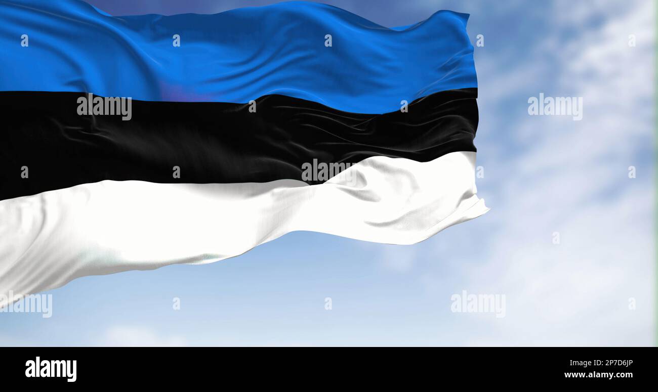 350 Bandiera Nera Foto Stock, Immagini E Fotografie Royalty-free - IStock