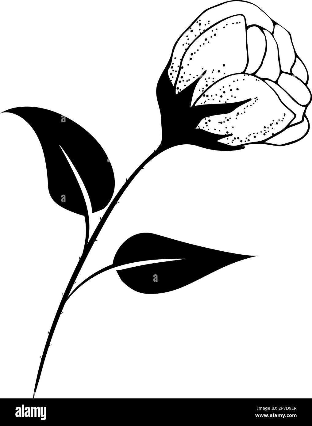 Fondo floreale, composizione floreale, fondo floreale con fiori teneri e rami di germogli. Disegno a mano. Per decorazioni stilizzate, inviti Illustrazione Vettoriale Fondo floreale, composizione floreale, fondo floreale con fiori teneri e rami di germogli. Disegno a mano. Per decorazioni stilizzate, inviti Illustrazione Vettoriale