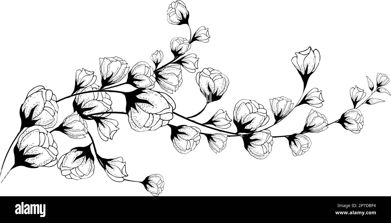Fondo floreale, composizione floreale, fondo floreale con fiori teneri e rami di germogli. Disegno a mano. Per decorazioni stilizzate, inviti Illustrazione Vettoriale Fondo floreale, composizione floreale, fondo floreale con fiori teneri e rami di germogli. Disegno a mano. Per decorazioni stilizzate, inviti Illustrazione Vettoriale