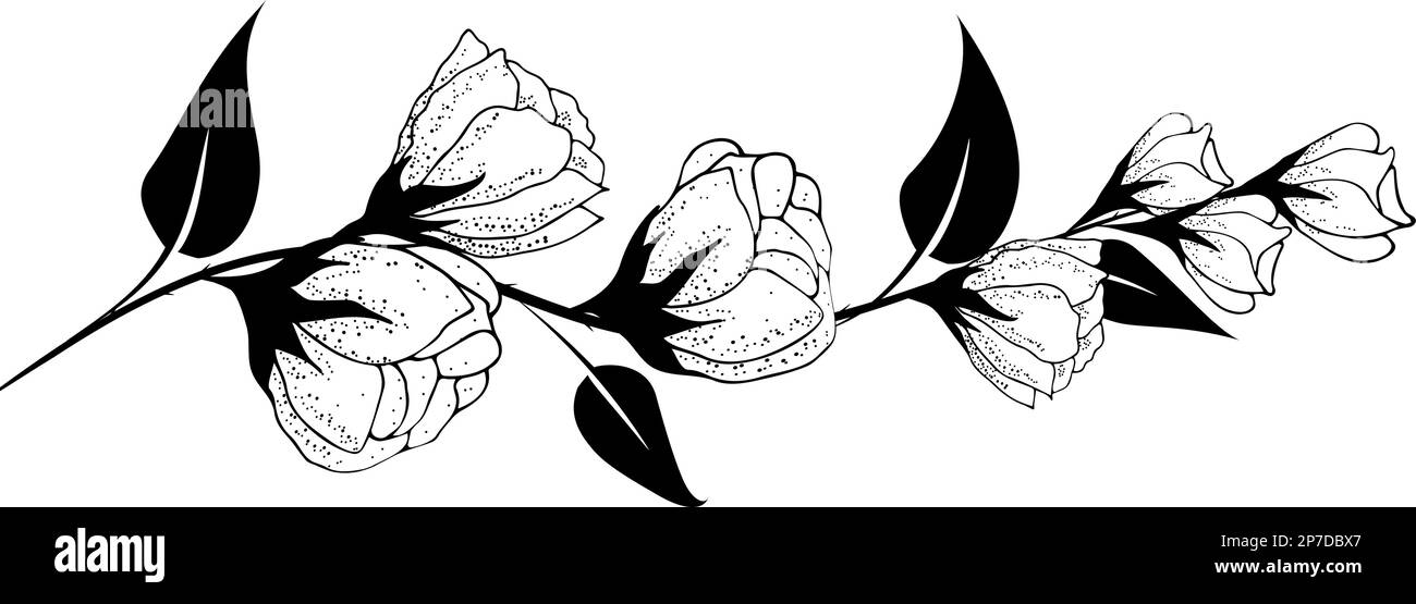 Fondo floreale, composizione floreale, fondo floreale con fiori teneri e rami di germogli. Disegno a mano. Per decorazioni stilizzate, inviti Illustrazione Vettoriale Fondo floreale, composizione floreale, fondo floreale con fiori teneri e rami di germogli. Disegno a mano. Per decorazioni stilizzate, inviti Illustrazione Vettoriale