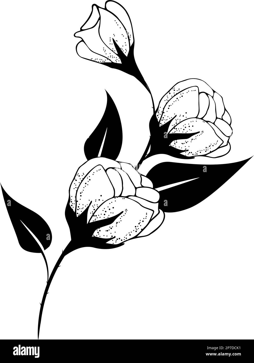 Fondo floreale, composizione floreale, fondo floreale con fiori teneri e rami di germogli. Disegno a mano. Per decorazioni stilizzate, inviti Illustrazione Vettoriale Fondo floreale, composizione floreale, fondo floreale con fiori teneri e rami di germogli. Disegno a mano. Per decorazioni stilizzate, inviti Illustrazione Vettoriale