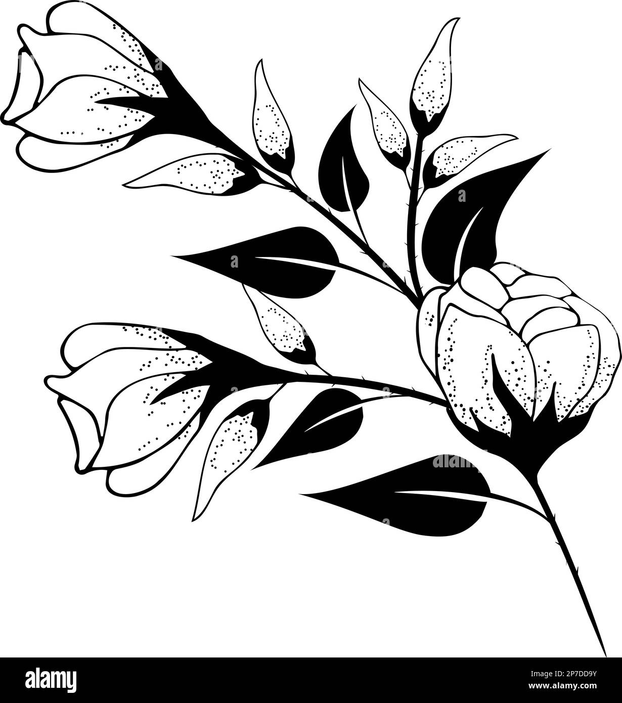 Fondo floreale, composizione floreale, fondo floreale con fiori teneri e rami di germogli. Disegno a mano. Per decorazioni stilizzate, inviti Illustrazione Vettoriale Fondo floreale, composizione floreale, fondo floreale con fiori teneri e rami di germogli. Disegno a mano. Per decorazioni stilizzate, inviti Illustrazione Vettoriale
