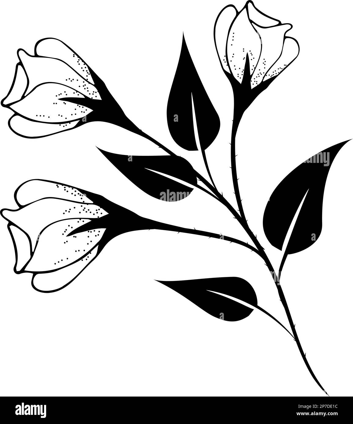 Fondo floreale, composizione floreale, fondo floreale con fiori teneri e rami di germogli. Disegno a mano. Per decorazioni stilizzate, inviti Illustrazione Vettoriale Fondo floreale, composizione floreale, fondo floreale con fiori teneri e rami di germogli. Disegno a mano. Per decorazioni stilizzate, inviti Illustrazione Vettoriale