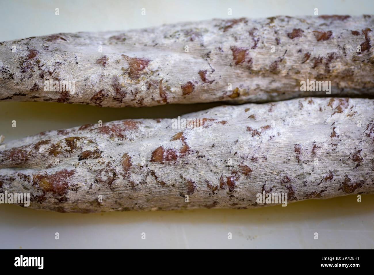 Llonganissa (salsiccia di maiale stagionata e secca catalana) Foto Stock