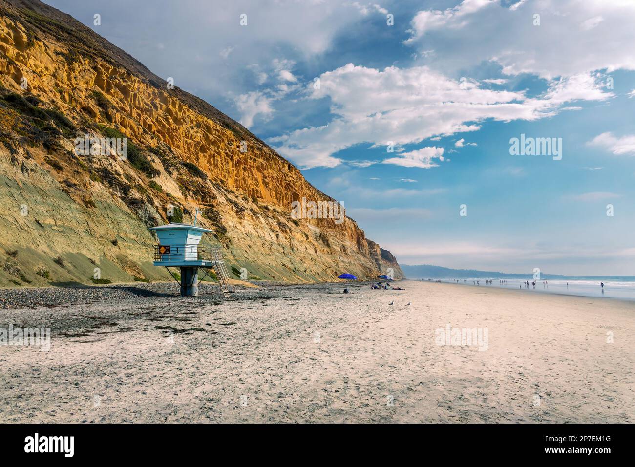 Torrey Pines Beach paesaggio, San Diego California Foto Stock
