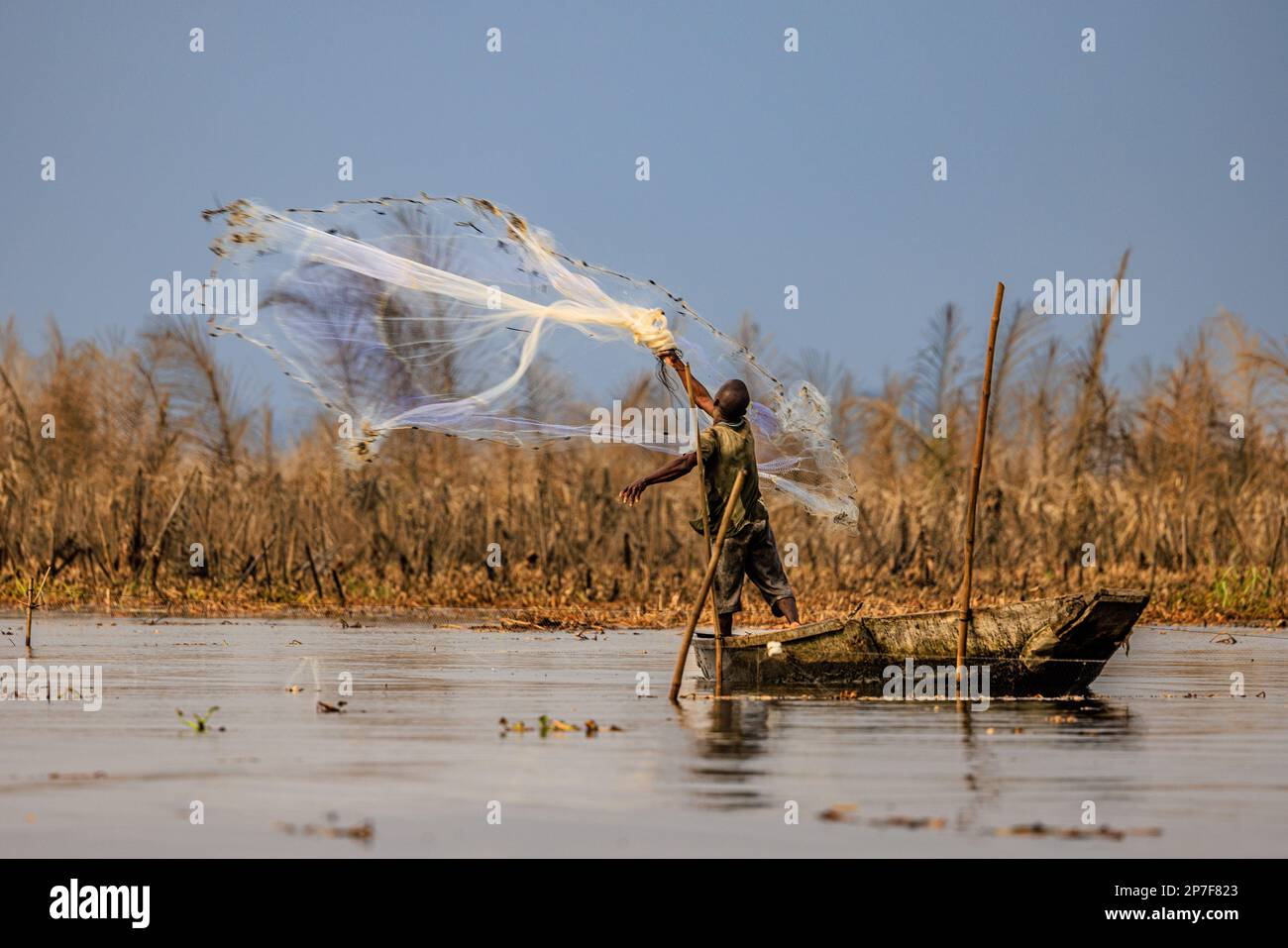 il pescatore tradizionale lancia la sua rete di pesca circolare pesata alta nel nokwie del lago a ganvie in benin Foto Stock