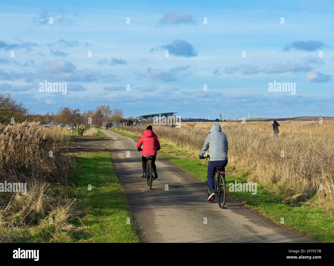 Frampton Marsh, un RSPB riserva naturale, Lincolnshire, England Regno Unito Foto Stock