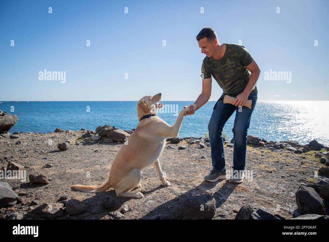 Un addestratore del cane con un cane sulla spiaggia fa gli esercizi di addestramento e tiene la sua zampa. Foto Stock
