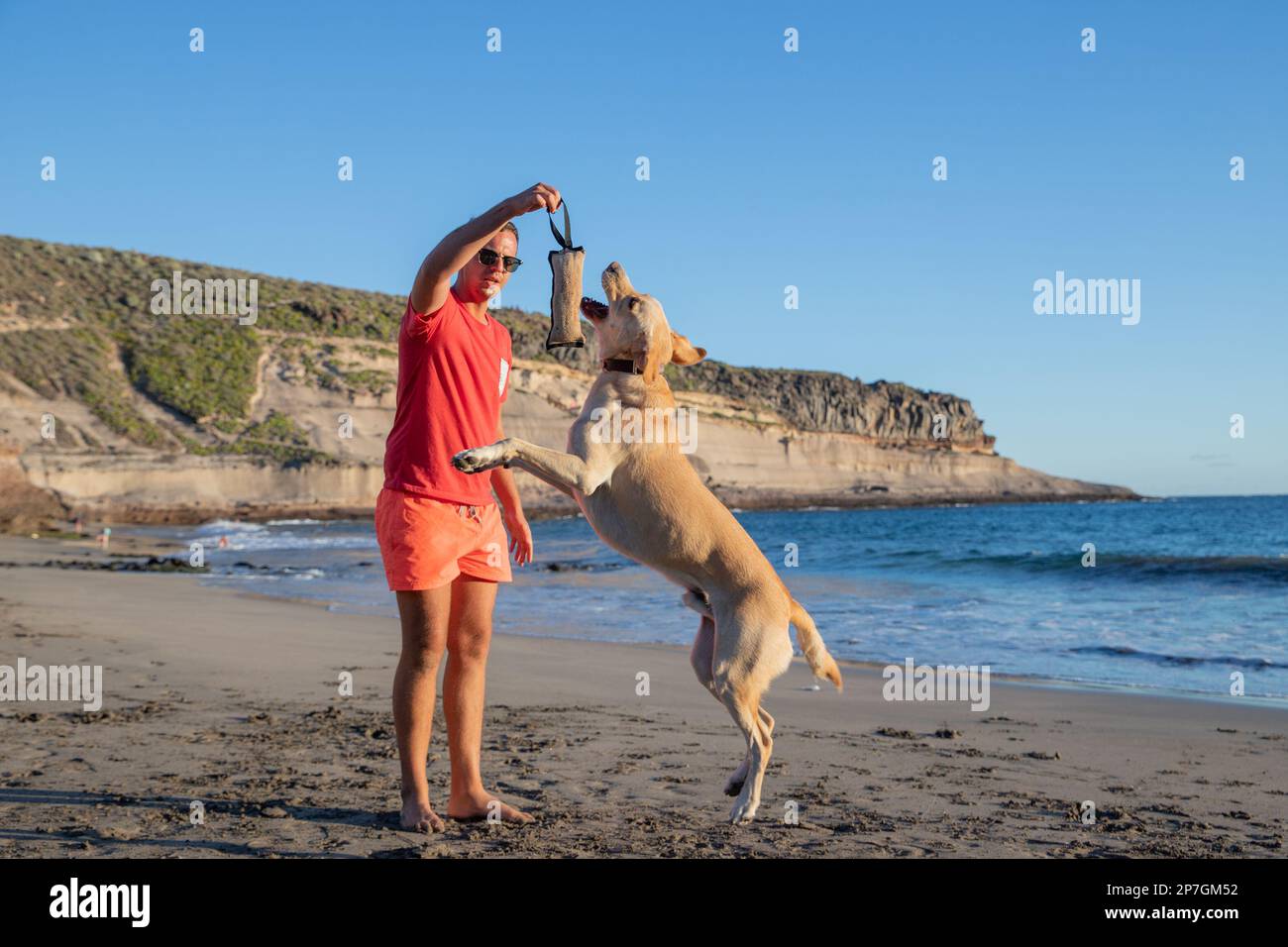 Un addestratore del cane con un cane sulla spiaggia che fa gli esercizi di addestramento, il cane salta per mordere il giocattolo del masticare. Foto Stock