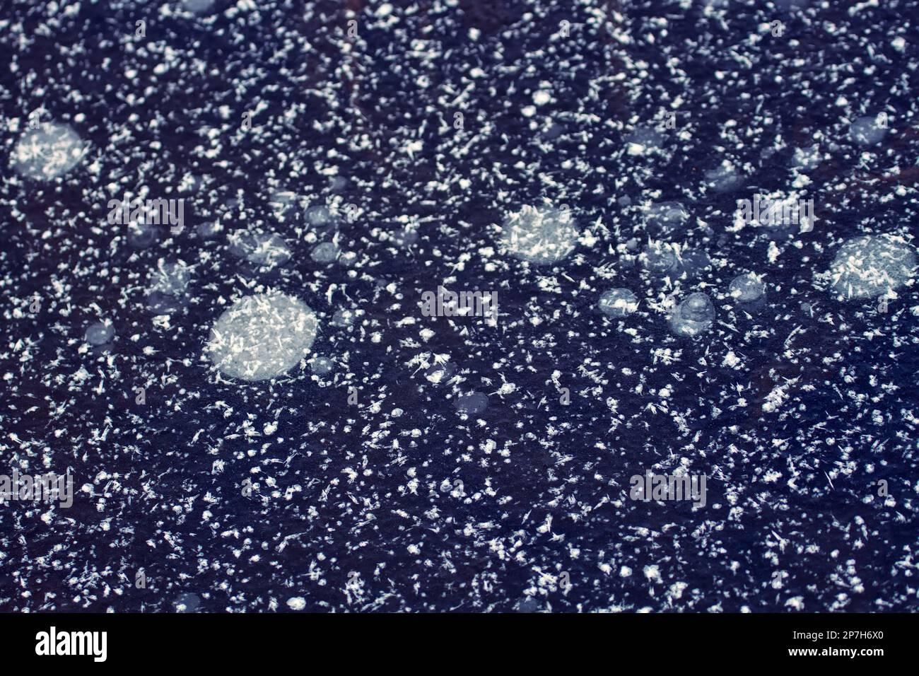 Frost Fiori su ghiaccio giovane, ghiaccio sfondo Foto Stock