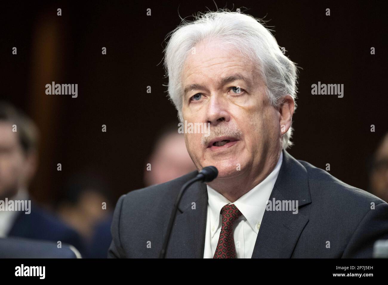Washington, Stati Uniti. 07th Mar, 2020. Il direttore dell'Agenzia di intelligence centrale William Burns parla durante un'audizione del Senato della Commissione di intelligence sulle minacce mondiali negli Stati Uniti Campidoglio a Washington, DC Mercoledì, 8 marzo 2023. Burns, insieme ad altri direttori di agenzie di intelligence, ha parlato di questioni come Tiktok, Cina e Covid-19. Foto di Bonnie Cash/UPI Credit: UPI/Alamy Live News Foto Stock