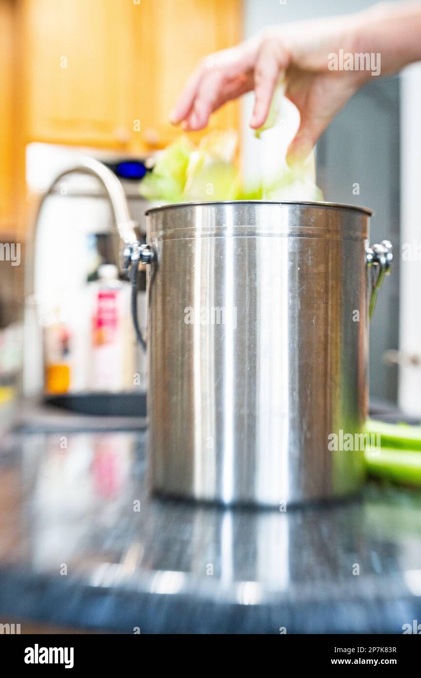 Seleziona il fuoco, azione shot di un contenitore di compost in acciaio inossidabile da cucina su un bancone con una mano di una donna che gocciola pezzi di sedano in esso. Foto Stock