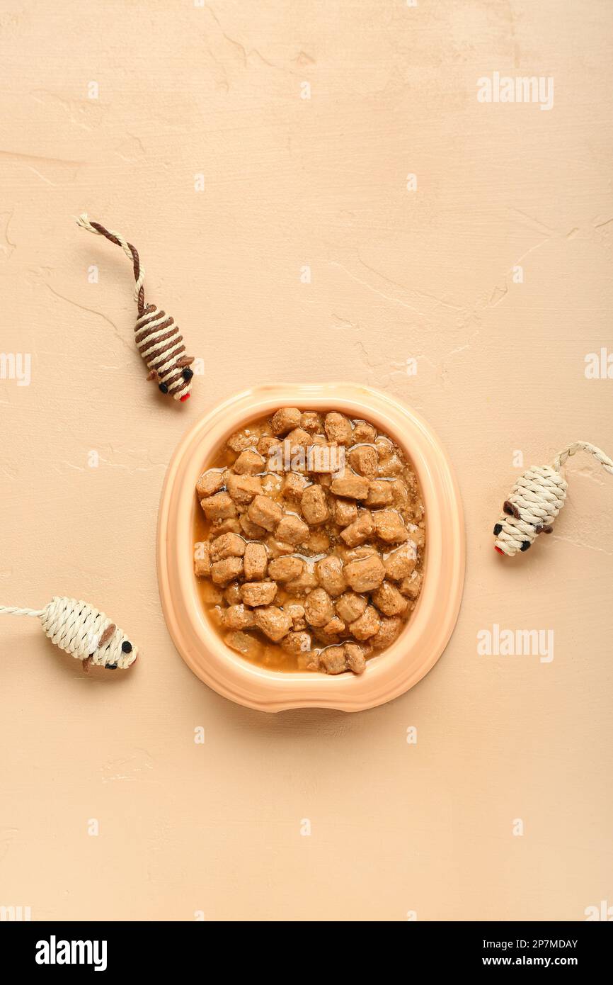 Ciotola di pappe bagnate e topi giocattolo su sfondo colorato Foto Stock