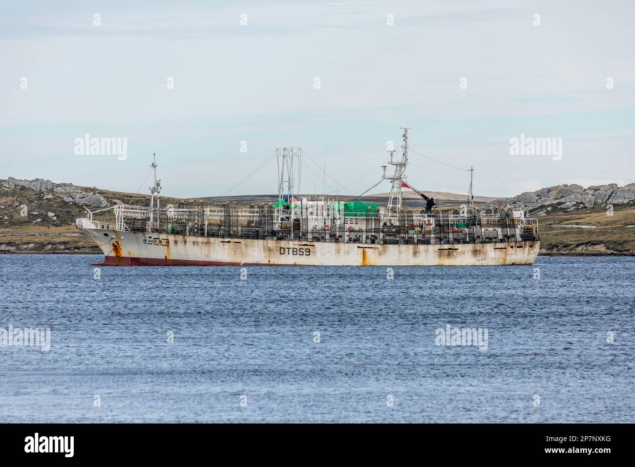 Il No. 808 TONG YOUNG, una nave da pesca, o Jigger, dalla Corea del Sud, Ancorato a Stanley Harbour, Isole Falkland. Costruito nel 1986. Foto Stock