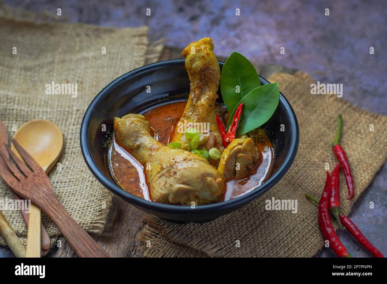 Indonesiano curry Opor Ayam Foto Stock