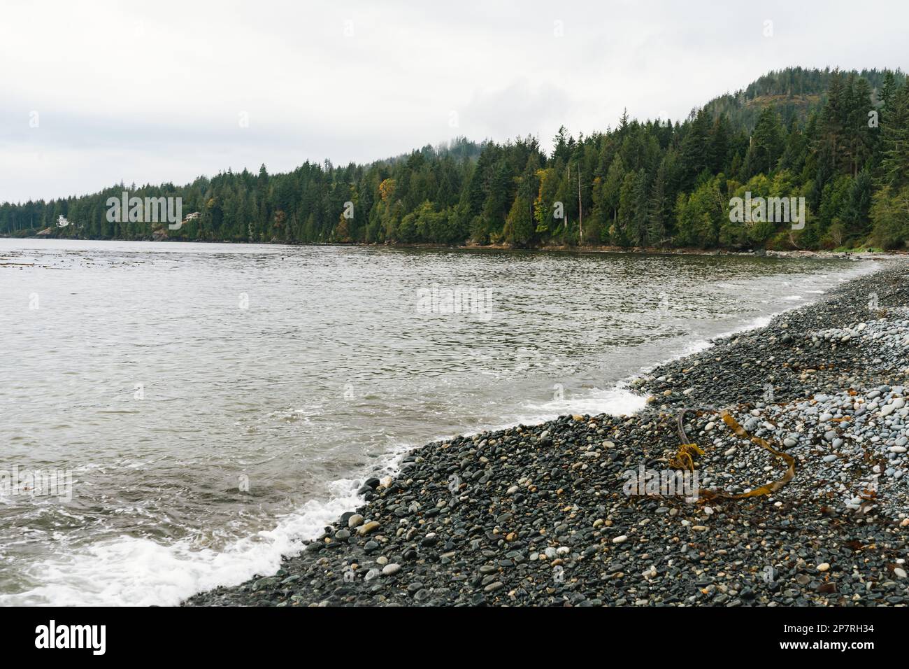 Costa frastagliata sull'isola di Vancouver, British Columbia, Canada Foto Stock