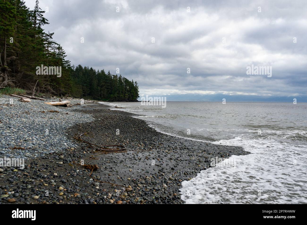 Costa frastagliata sull'isola di Vancouver, British Columbia, Canada Foto Stock