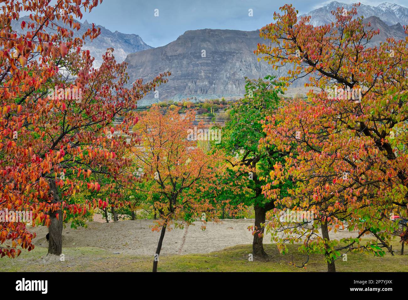Location:36°13'05,0'N 74°45'43,2'e Hopper villaggio preso @Hopper, Gilgit-Baltistan, Pakistan Foto Stock