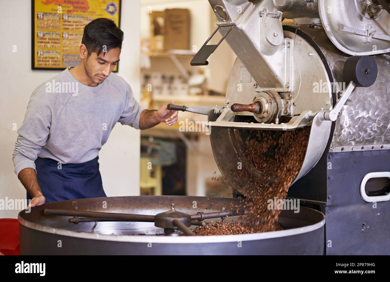 Maestro del caffè. una macchina per macinare e tostare i chicchi di caffè. Foto Stock