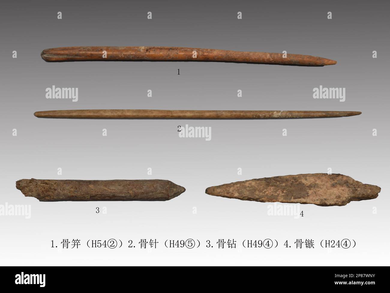 Taiyuan. 9th Mar, 2023. Questa foto non datata fornita dall'istituto provinciale di archeologia di Shanxi mostra gli attrezzi dell'osso scoperti dal luogo delle reliquie di Yuanun che risale al tardo periodo della cultura di Yangshao circa 5.000 - 7.000 anni fa al villaggio di Yuankun della contea di Xiaxian nella città di Yuncheng, nella provincia di Shanxi della Cina settentrionale. PER ANDARE CON 'i manufatti secolari trovati nella provincia ricca di relic-cinese' credito: Xinhua/Alamy Live News Foto Stock