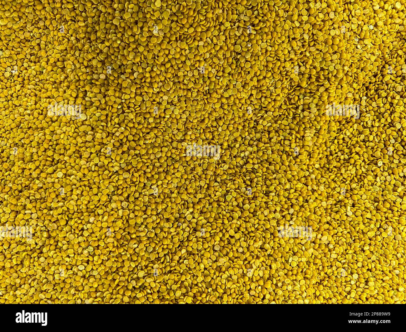 Toor Dhal o Pea di Pigeon o Thuvaram paruppu o Togari Bele Pee di Pigeon giallo da vicino dall'alto. Foto Stock