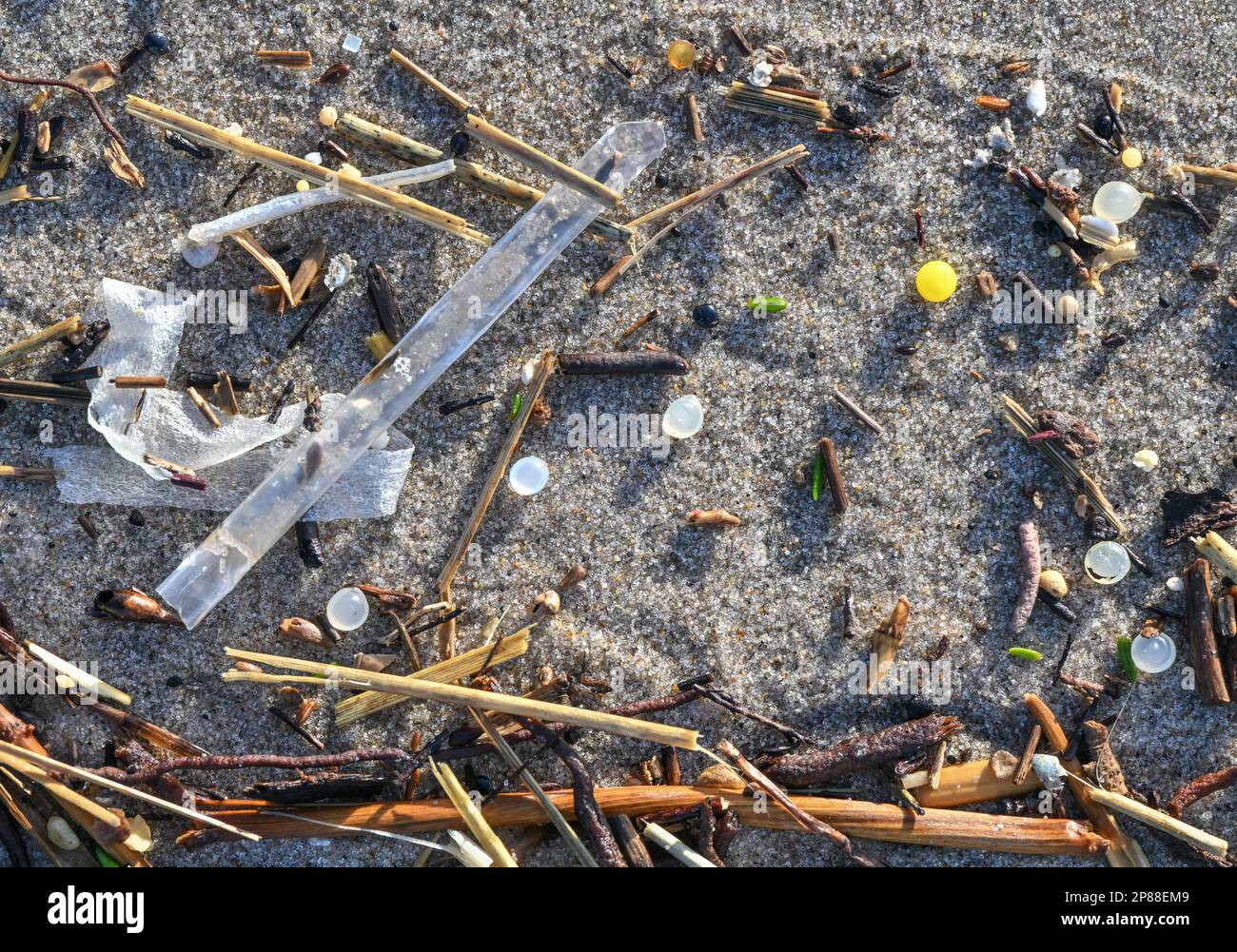 Agger, Danimarca. 02nd Feb, 2023. Piccole nicchie di plastica sono state lavate dalle acque del Mare del Nord sulla spiaggia della costa occidentale presso il Thy National Park. Credit: Patrick Pleul/dpa/Alamy Live News Foto Stock