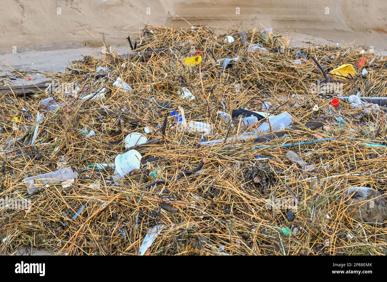 Agger, Danimarca. 02nd Feb, 2023. Varie confezioni di plastica si trovano sulla spiaggia del Mare del Nord sulla costa occidentale nel Thy National Park dopo una tempesta. Credit: Patrick Pleul/dpa/Alamy Live News Foto Stock