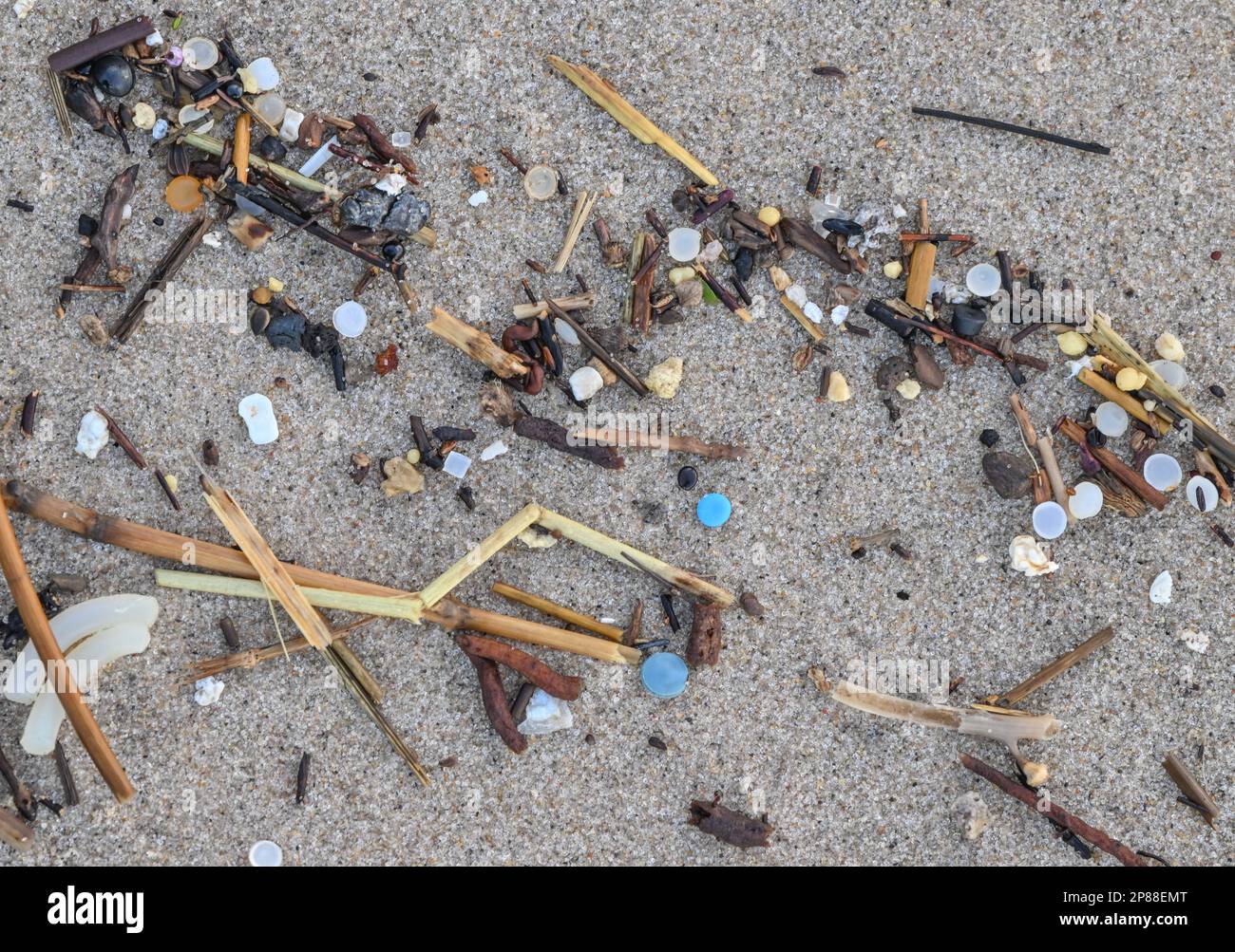 Agger, Danimarca. 02nd Feb, 2023. Piccole particelle di plastica sono state lavate dalle acque del Mare del Nord sulla spiaggia della costa occidentale del Thy National Park. Credit: Patrick Pleul/dpa/Alamy Live News Foto Stock