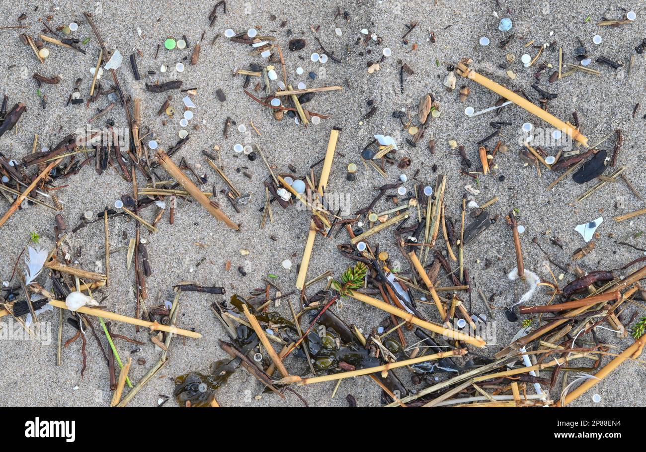 Agger, Danimarca. 02nd Feb, 2023. Piccole particelle di plastica sono state lavate dalle acque del Mare del Nord sulla spiaggia della costa occidentale del Thy National Park. Credit: Patrick Pleul/dpa/Alamy Live News Foto Stock